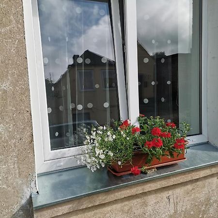 Ferienwohnung Dzivoklis Vecpilseta Bauska Exterior foto
