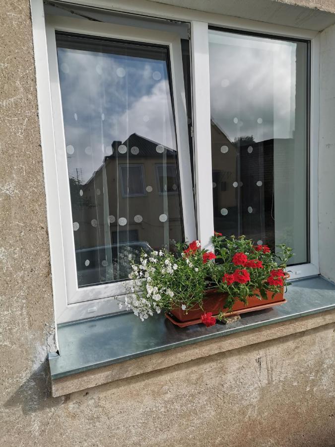 Ferienwohnung Dzivoklis Vecpilseta Bauska Exterior foto